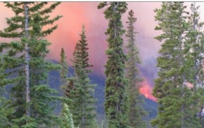 Wildfire Preparedness