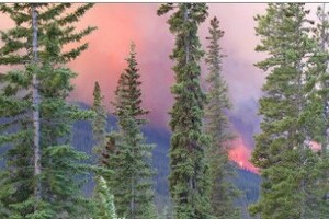 Wildfire Preparedness