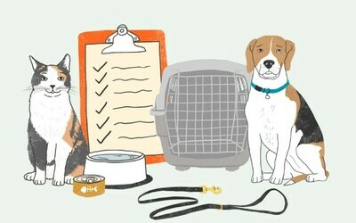 #BePrepared - Keep Your Pets Prepared Too